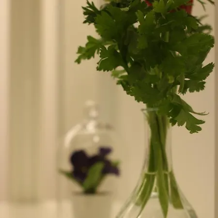 Moro 34 3* バーリ