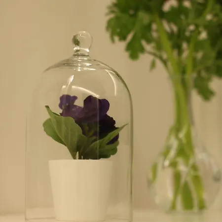 Gæstehus Moro 34 3*