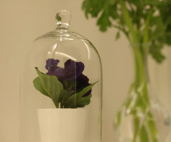 Affittacamere Moro 34 3*